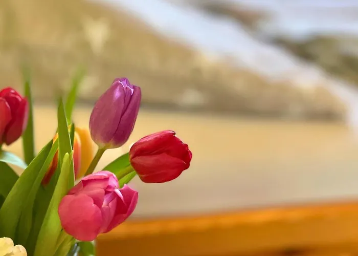 Bauernhuus 5 Fehmarn