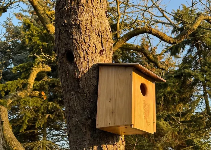 Bauernhuus 5 Fehmarn